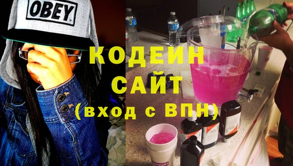спиды Ельня