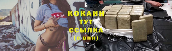 спиды Ельня
