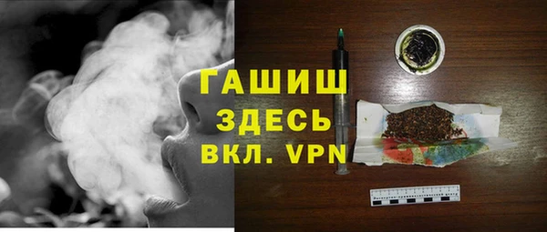 спиды Ельня