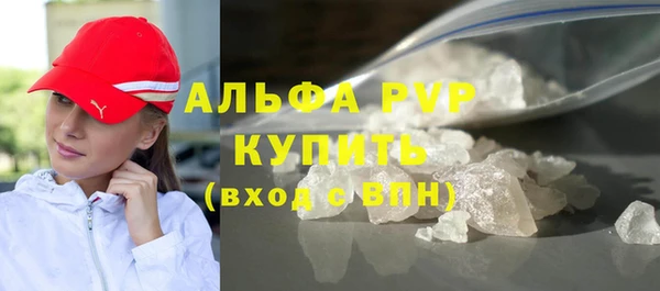 спиды Ельня