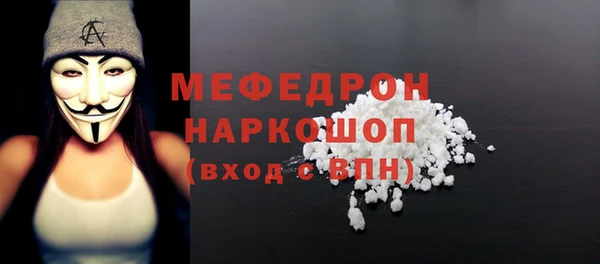 спиды Ельня