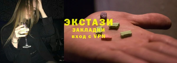спиды Ельня
