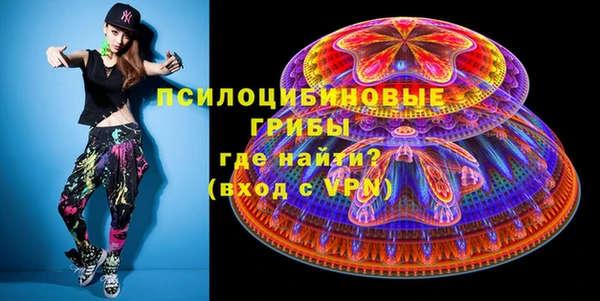 хмурый Елабуга