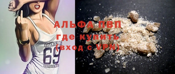 спиды Ельня