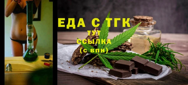 спиды Ельня