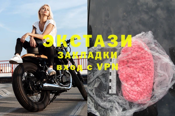 спиды Ельня