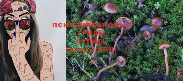 герыч Дмитров