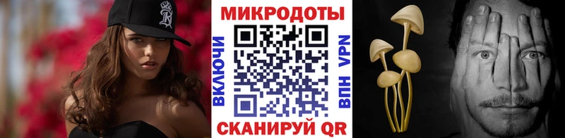 Купить где Слободской Псилоцибиновые грибы Magic Shrooms